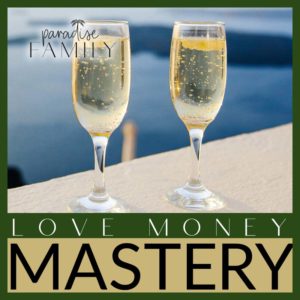 Love Money Mastery Call